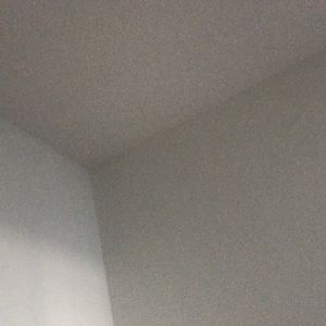 Meet your Posher, Hayley